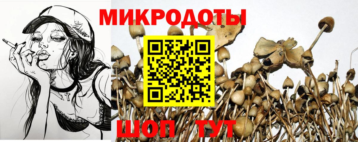 Галлюциногенные грибы GOLDEN TEACHER  Вход с VPN  Саратов 